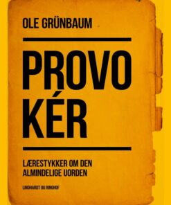 Provokér: Lærestykker om den almindelige uorden (E-bog)