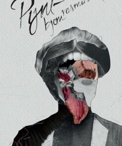 Pynt - Bjørn Rasmussen - Bog