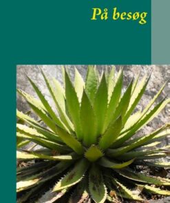 På Besøg - Arne Juelsgaard - Bog