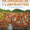 På opdagelse i labyrinten - en eventyrlig findebog (Bog)