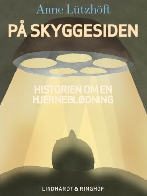 På skyggesiden - beretningen om en hjerneblødning (E-bog)