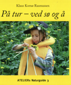 På tur - ved sø og å (E-bog)