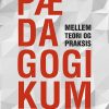 Pædagogikum Mellem Teori Og Praksis - Steen Beck - Bog