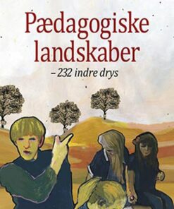 Pædagogiske Landskaber - Thomas Aastrup Rømer - Bog