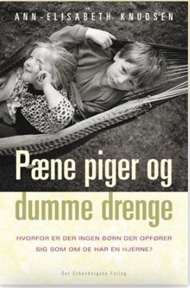 Pæne Piger Og Dumme Drenge - Ann-elisabeth Knudsen - Bog