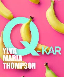 Q-kar (E-bog)