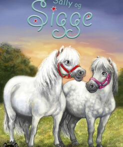 RAP-klubben 15 - Sally og Sigge (Bog)