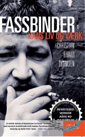 Rainer Werner Fassbinder (E-bog)