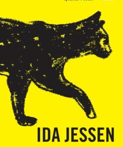 Ramt Af Ingenting - Ida Jessen - Bog