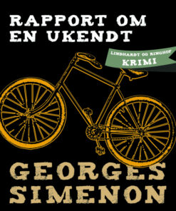 Rapport om en ukendt (E-bog)