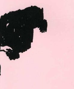 Raseriet - Staffan Söderblom - Bog