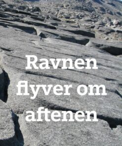 Ravnen Flyver Om Aftenen - Henrik Houe Hansen - Bog