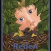 Reden (Bog)