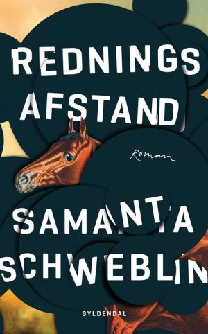 Redningsafstand - Samanta Schweblin - Bog