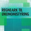 Regneark Til økonomistyring - Lars Bo Friis - Bog