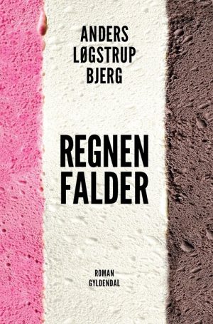 Regnen Falder - Anders Løgstrup Bjerg - Bog