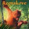Regnskove (E-bog)