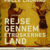 Rejse gennem etruskernes land (E-bog)