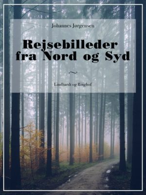 Rejsebilleder fra Nord og Syd (E-bog)