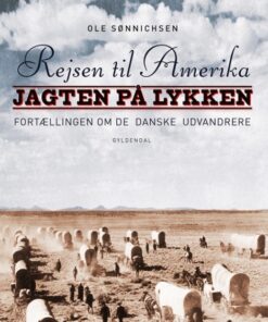 Rejsen til Amerika 2 Jagten på lykken (Bog)