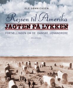 Rejsen til Amerika 2 Jagten på lykken (E-bog)