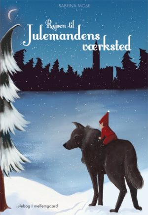 Rejsen til Julemandens værksted (Bog)