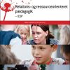 Relations- Og Ressourceorienteret Pædagogik - Icdp - Karsten Hundeide - Bog