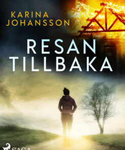 Resan tillbaka (E-bog)