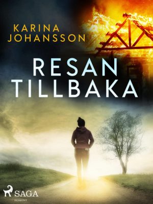Resan tillbaka (E-bog)