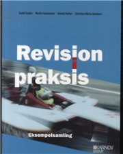 Revision I Praksis - Eksempelsamling - Christina Maria Davidsen - Bog