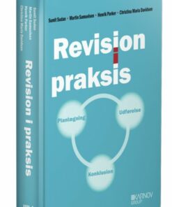 Revision I Praksis - Planlægning, Udførelse, Konklusion - Christina Maria Davidsen - Bog