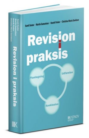 Revision I Praksis - Planlægning, Udførelse, Konklusion - Christina Maria Davidsen - Bog