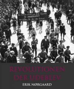 Revolutionen der udeblev (E-bog)