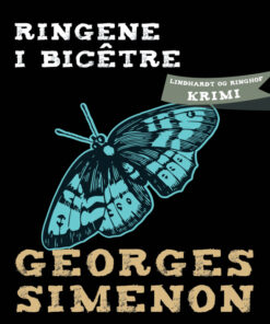 Ringene i BicÃªtre (Bog)