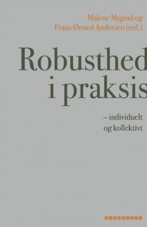 Robusthed i praksis (E-bog)