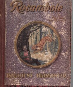 Rocambole (E-bog)
