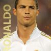 Ronaldo - Illugi Jökulsson - Bog