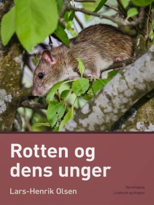 Rotten og dens unger (E-bog)