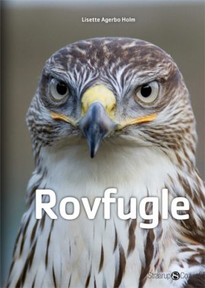 Rovfugle (E-bog)