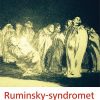 Ruminsky-syndromet - Birgit Dagmar Johansen - Bog