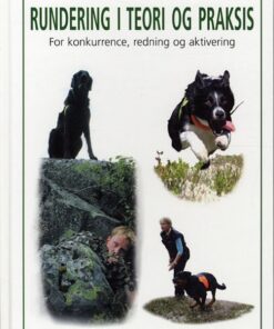 Rundering i teori og praksis (Bog)
