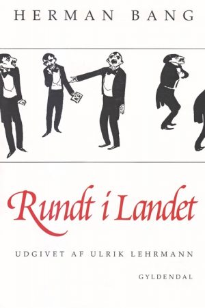 Rundt i landet (E-bog)