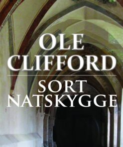 SORT NATSKYGGE (E-bog)