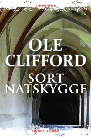 SORT NATSKYGGE (E-bog)