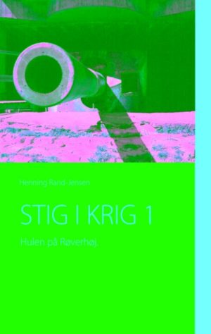 STIG I KRIG 1 (Bog)