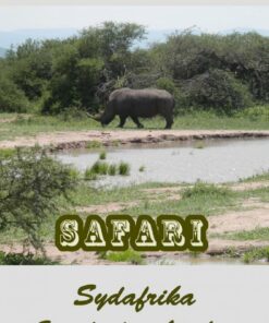 Safari. Sydafrika, Swaziland Og Lesotho - Charlotte Dinge - Bog