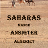 Saharas mange Ansigter - Algeriet (E-bog)