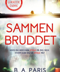 Sammenbruddet (E-bog)