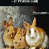 Sammenføring af Kaniner - en Praktisk Guide (Bog)