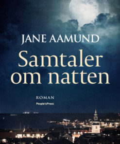 Samtaler om natten (E-bog)